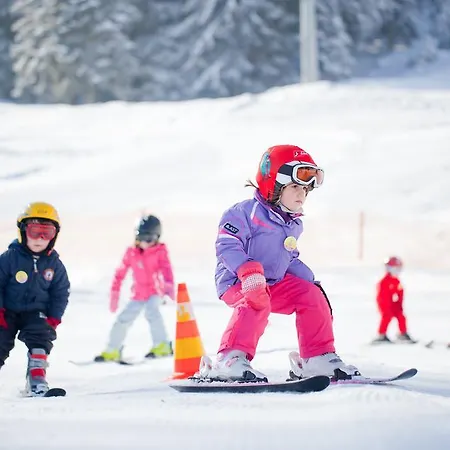 Haus Binder * ノイシュティフト・イム・シュトゥーバイタール